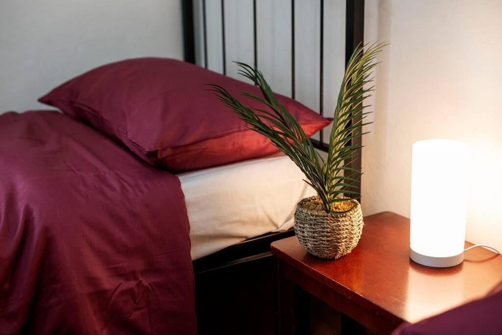 The Attico Chic Urban Free Parking Apartment Bologna Exterior photo